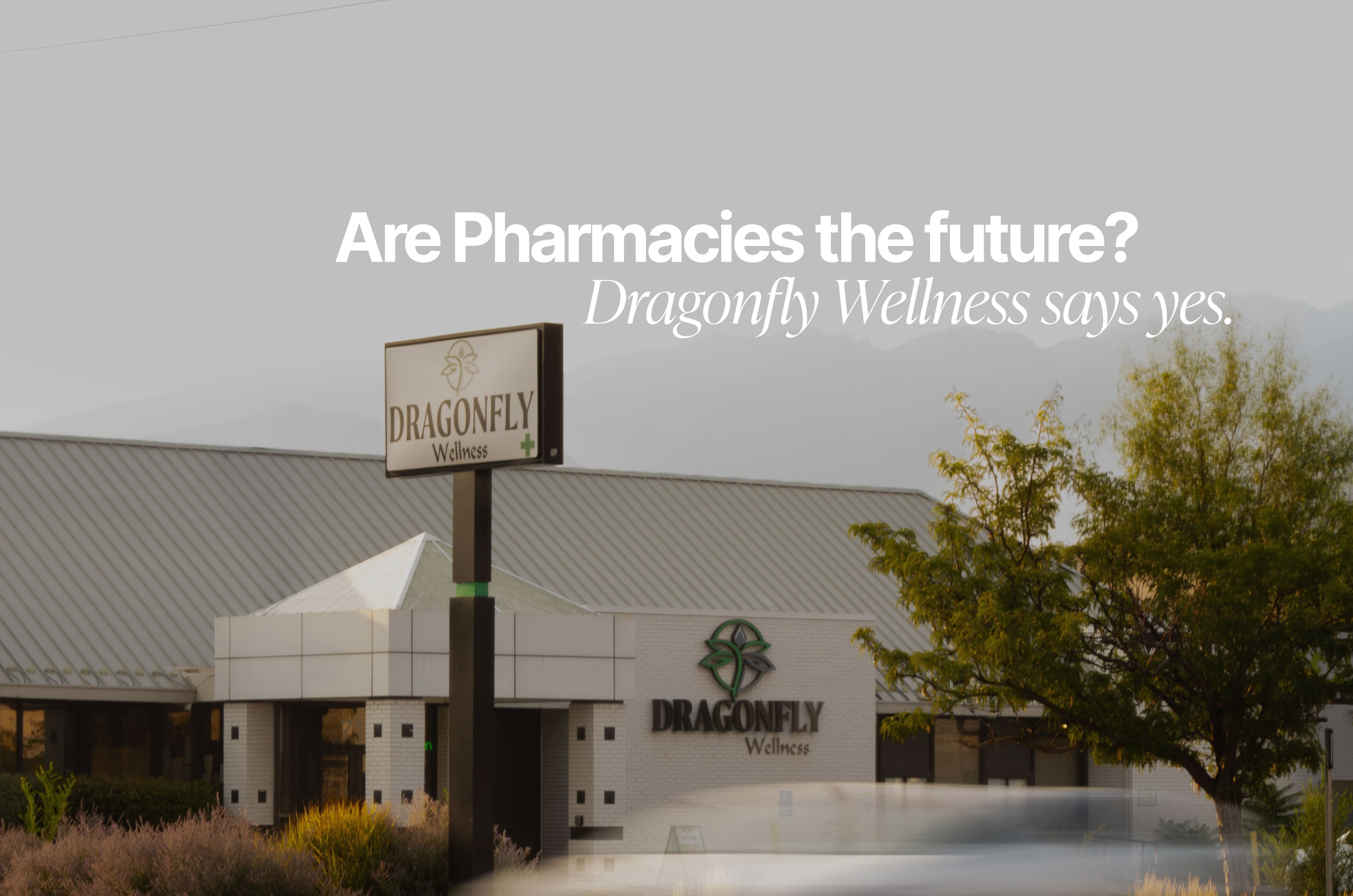 Are Pharmacies the Future? Dragonfly Wellness Says Yes.