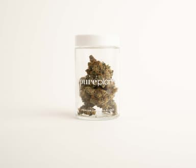 Pure Plan Flower 14g LAVENDER LEMONAID (Tops) Price