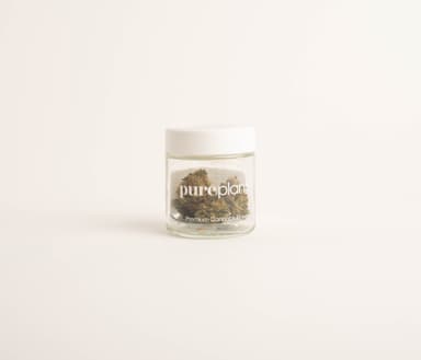 Pure Plan Flower 3.5g MEOW BX (Tops) Price