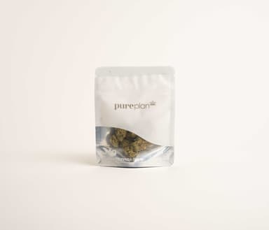 Pure Plan Flower 3.5g FRESHLY MINTED (Choice) Price