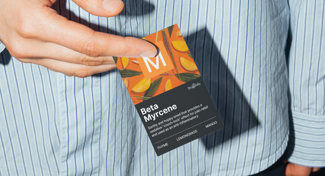 Hand holding a cannabis terpene card for beta myrcene